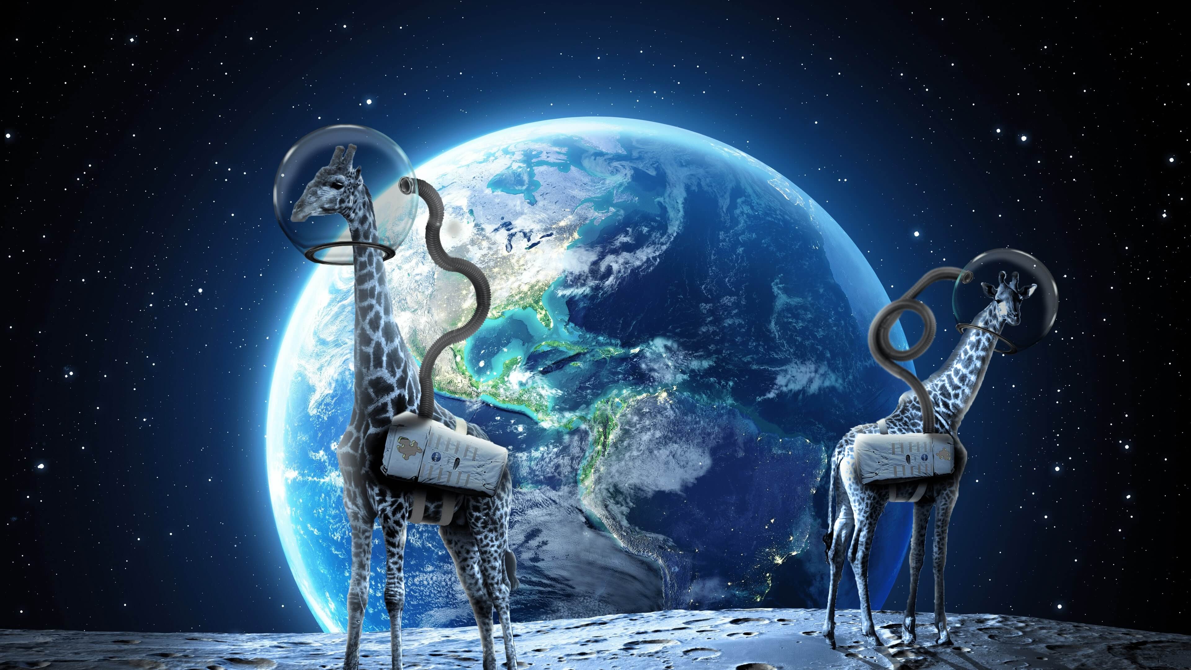 Space Giraffes